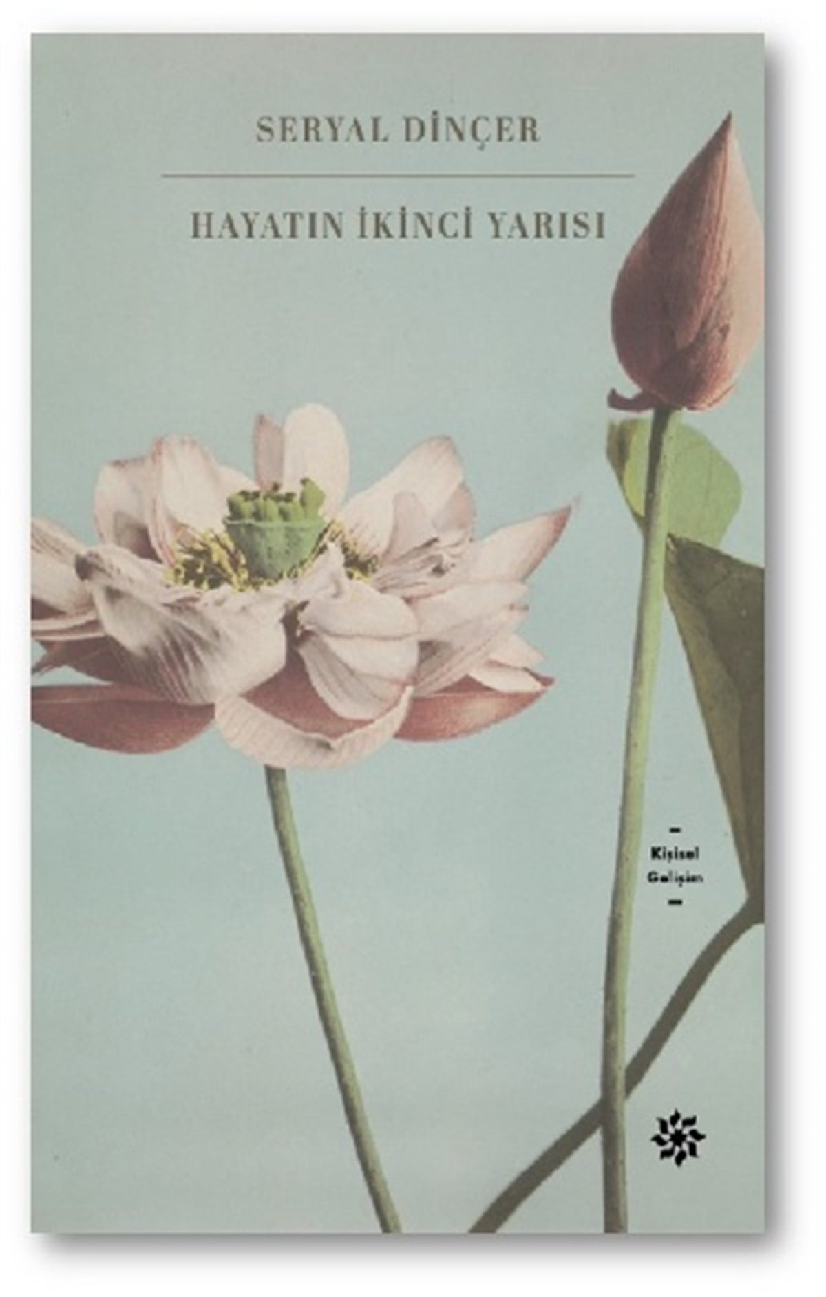 Hayatın İkinci Yarısı