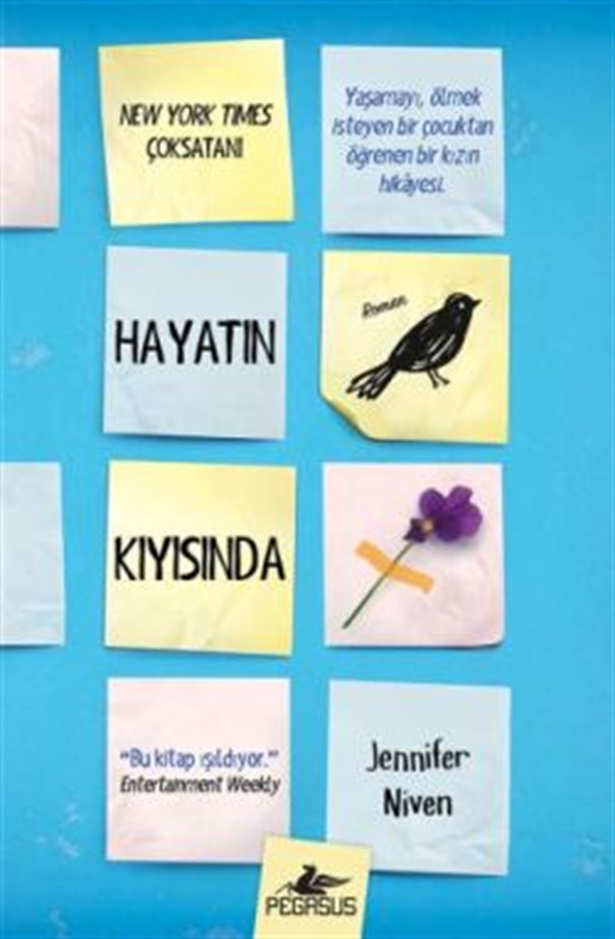 Hayatın Kıyısında