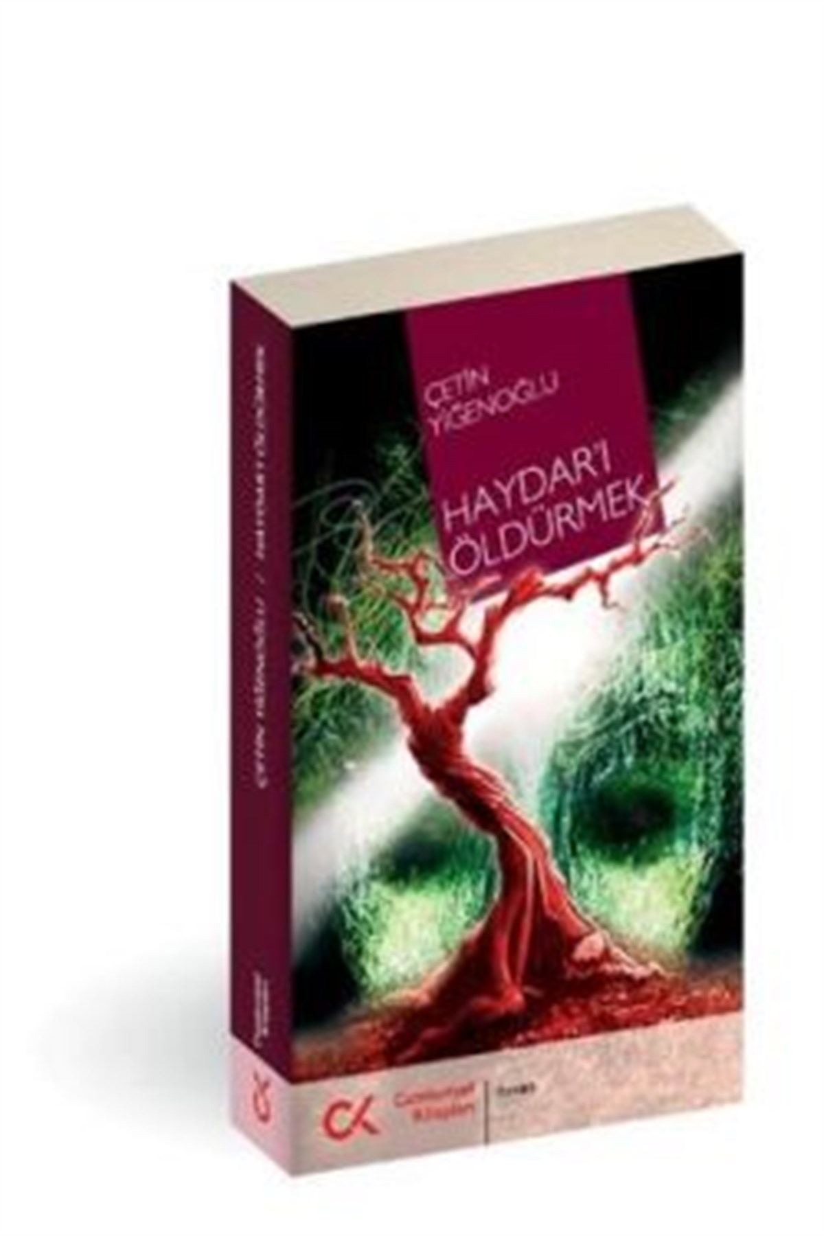 Haydar’ı Öldürmek