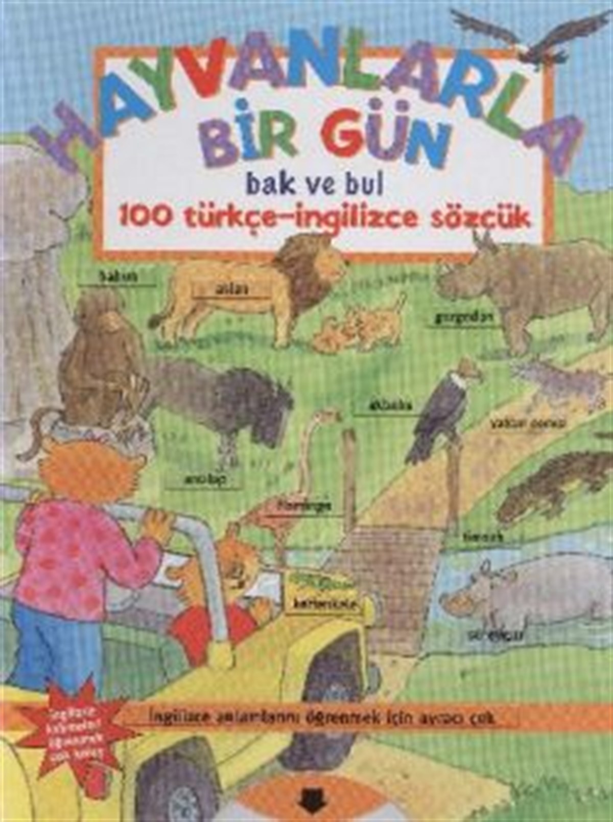 Hayvanlarla Bir Gün Bak ve Bul