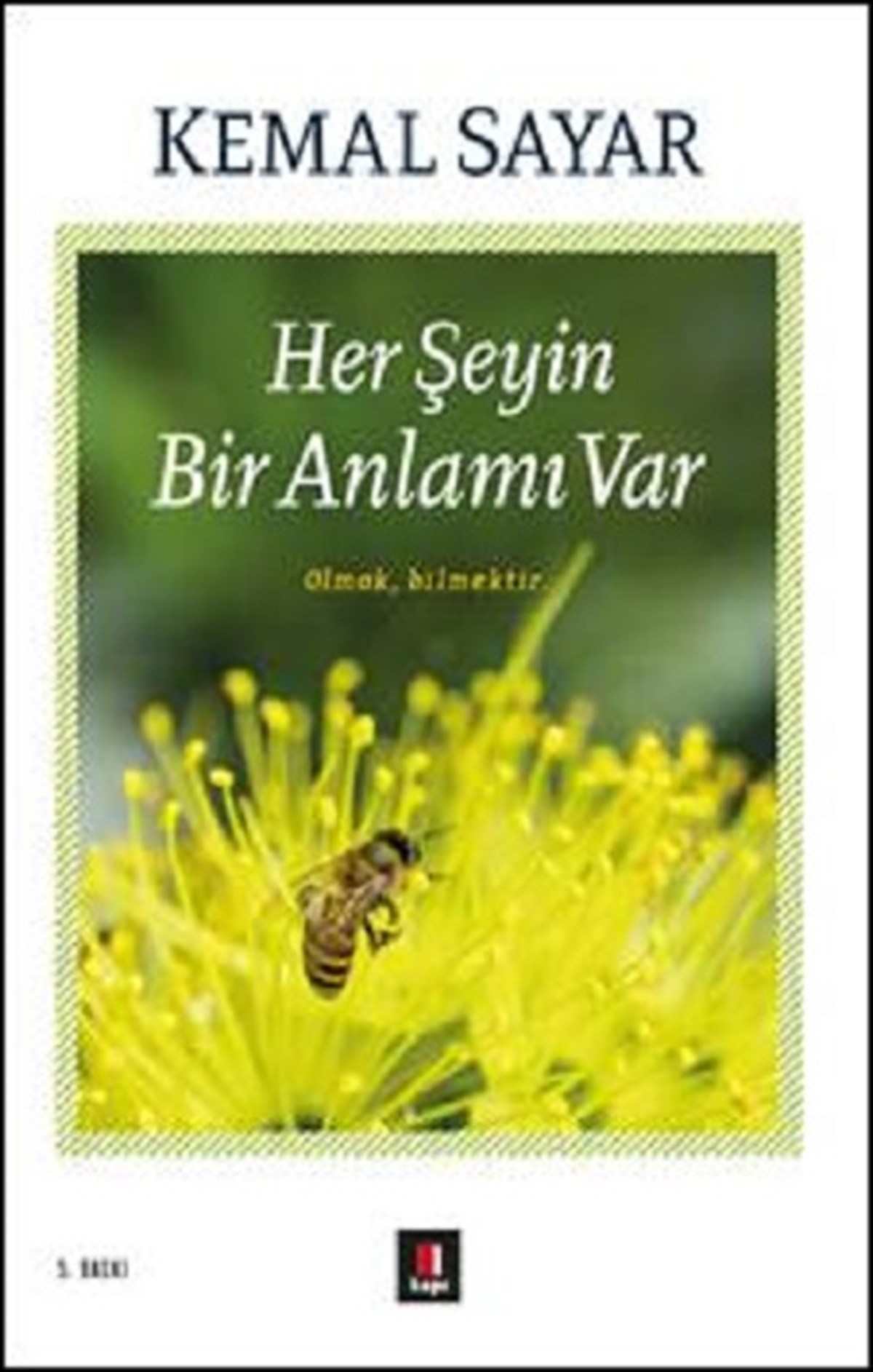 Her Şeyin Bir Anlamı Var