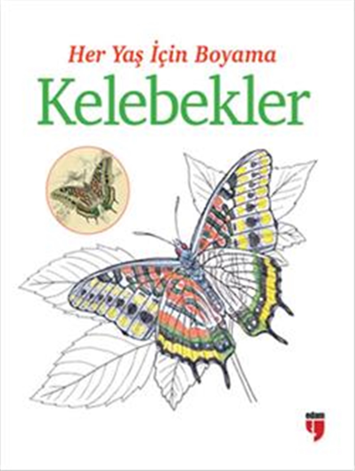 Her Yaş İçin Boyama - Kelebekler