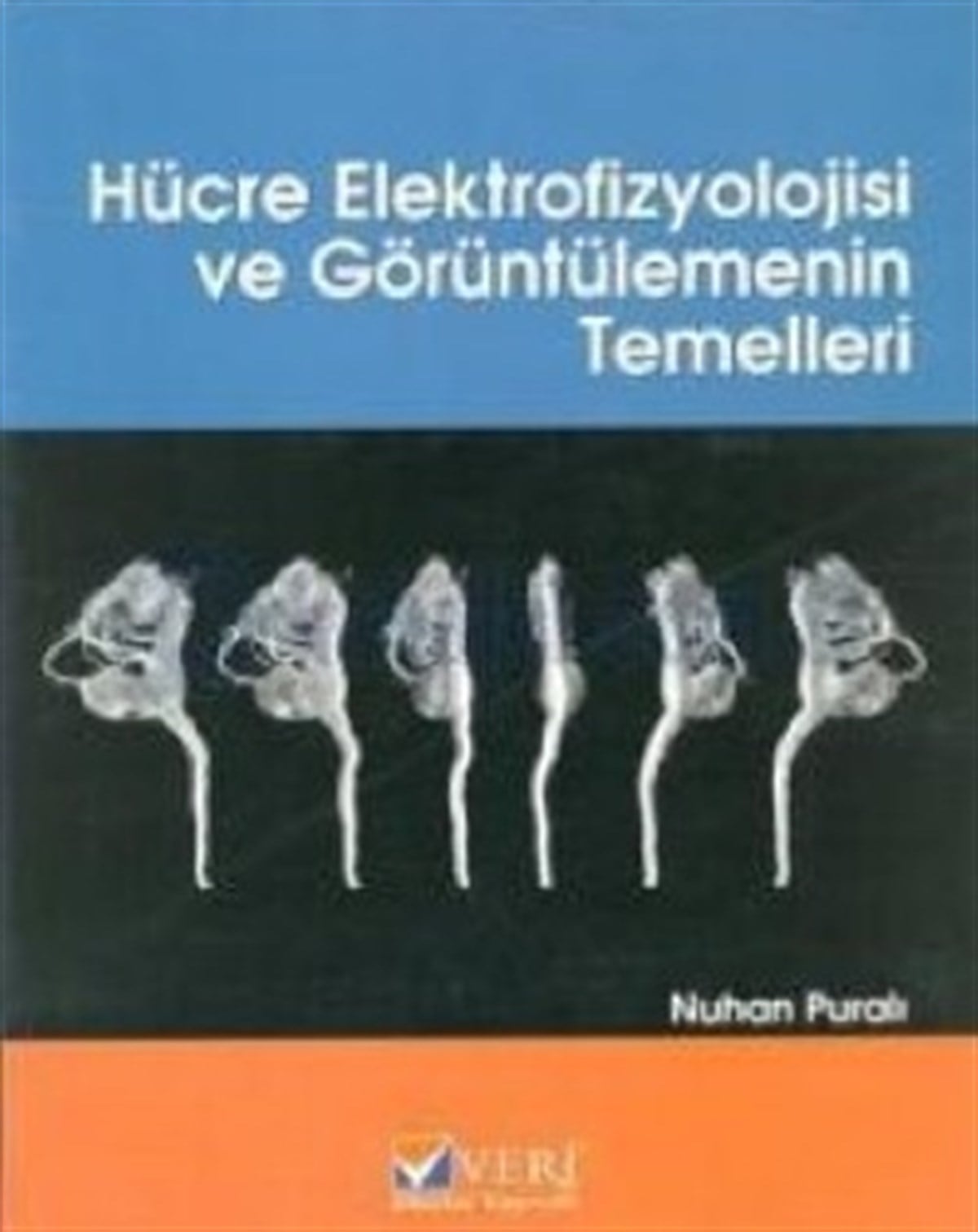 Hücre Elektrofizyolojisi ve Görüntülemenin Temelleri