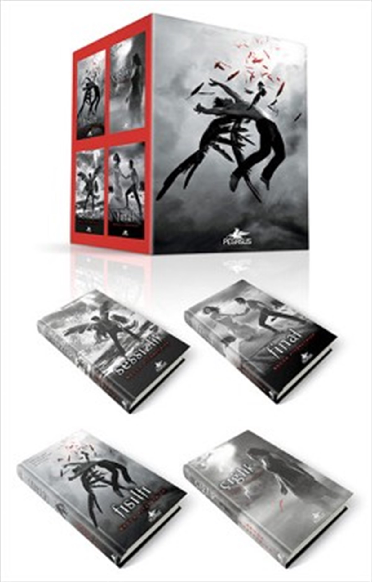Hush Hush Serisi Seti (4 Kitap Takım)