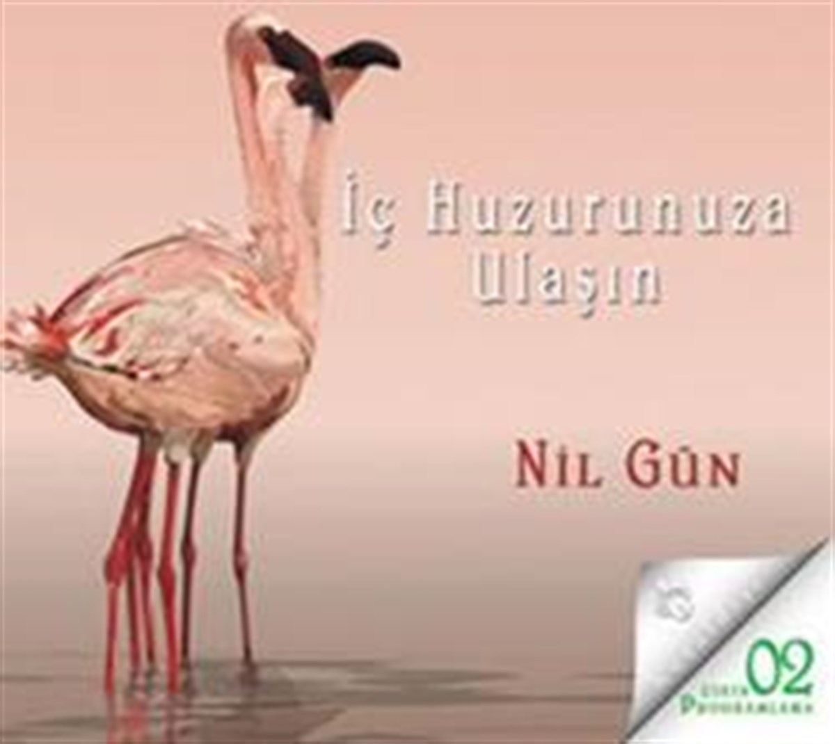 İç Huzurunuza Ulaşın (CD)