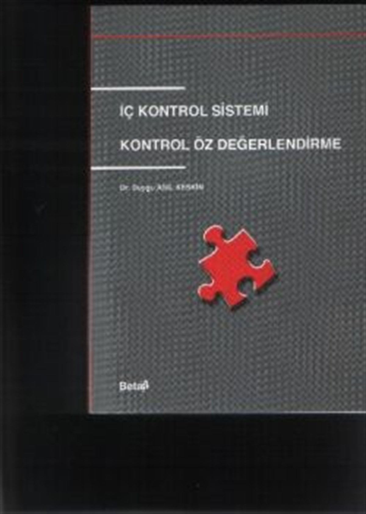 İç Kontrol Sistemi