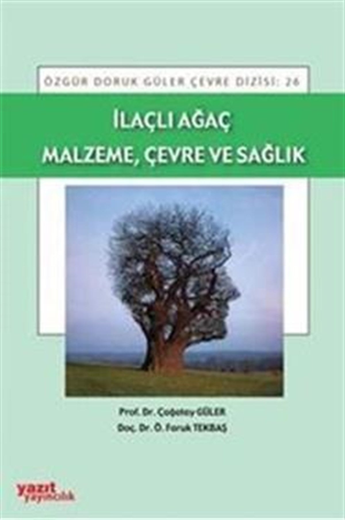 İlaçlı Ağaç Malzeme, Çevre ve Sağlık