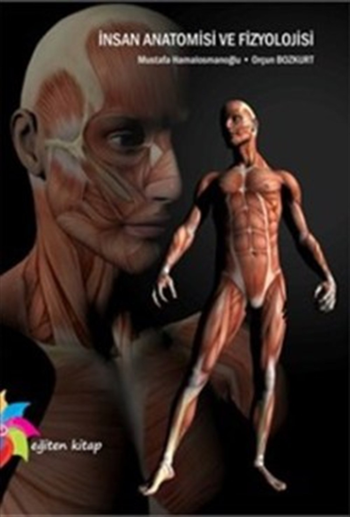 İnsan Anatomisi ve Fizyolojisi