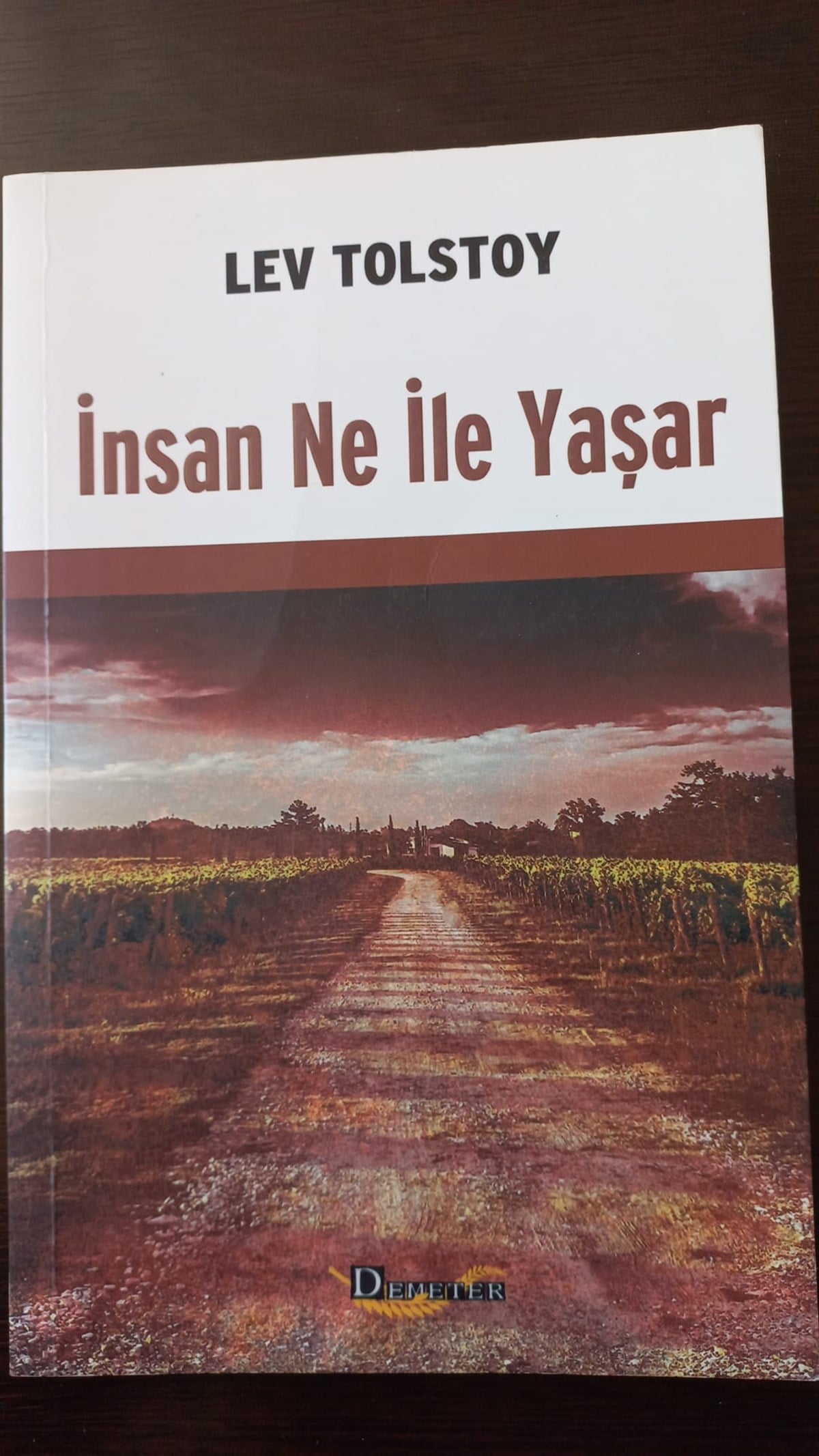 İnsan Ne ile Yaşar? (SAHAF) , Lev Nikolayeviç Tolstoy , Kitap Müptelası - Sahaf , 9786059677770 ,
