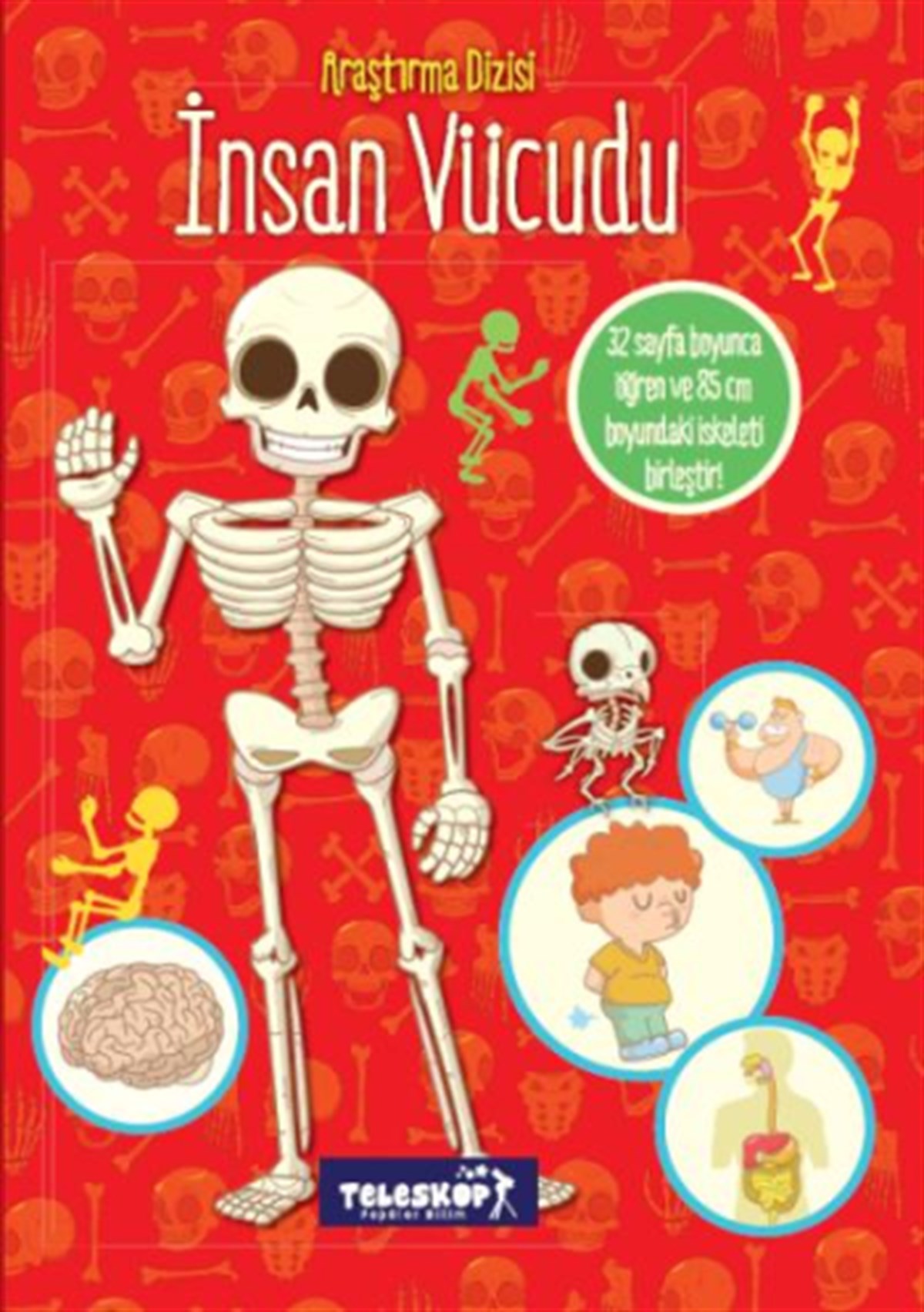 İnsan Vücudu - Araştırma Dizisi