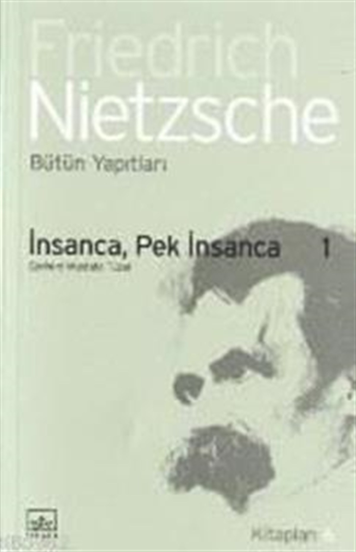 İnsanca Pek İnsanca 1