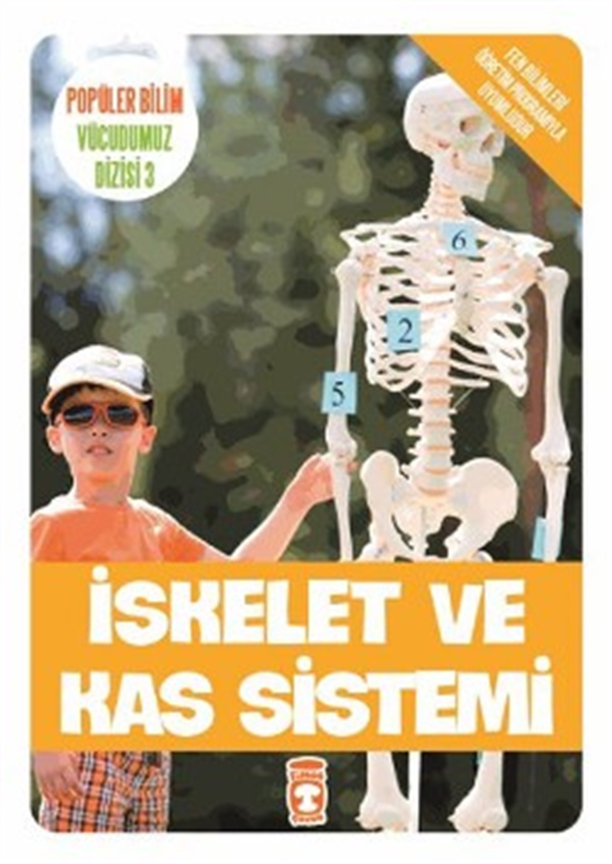 İskelet ve Kas Sistemi