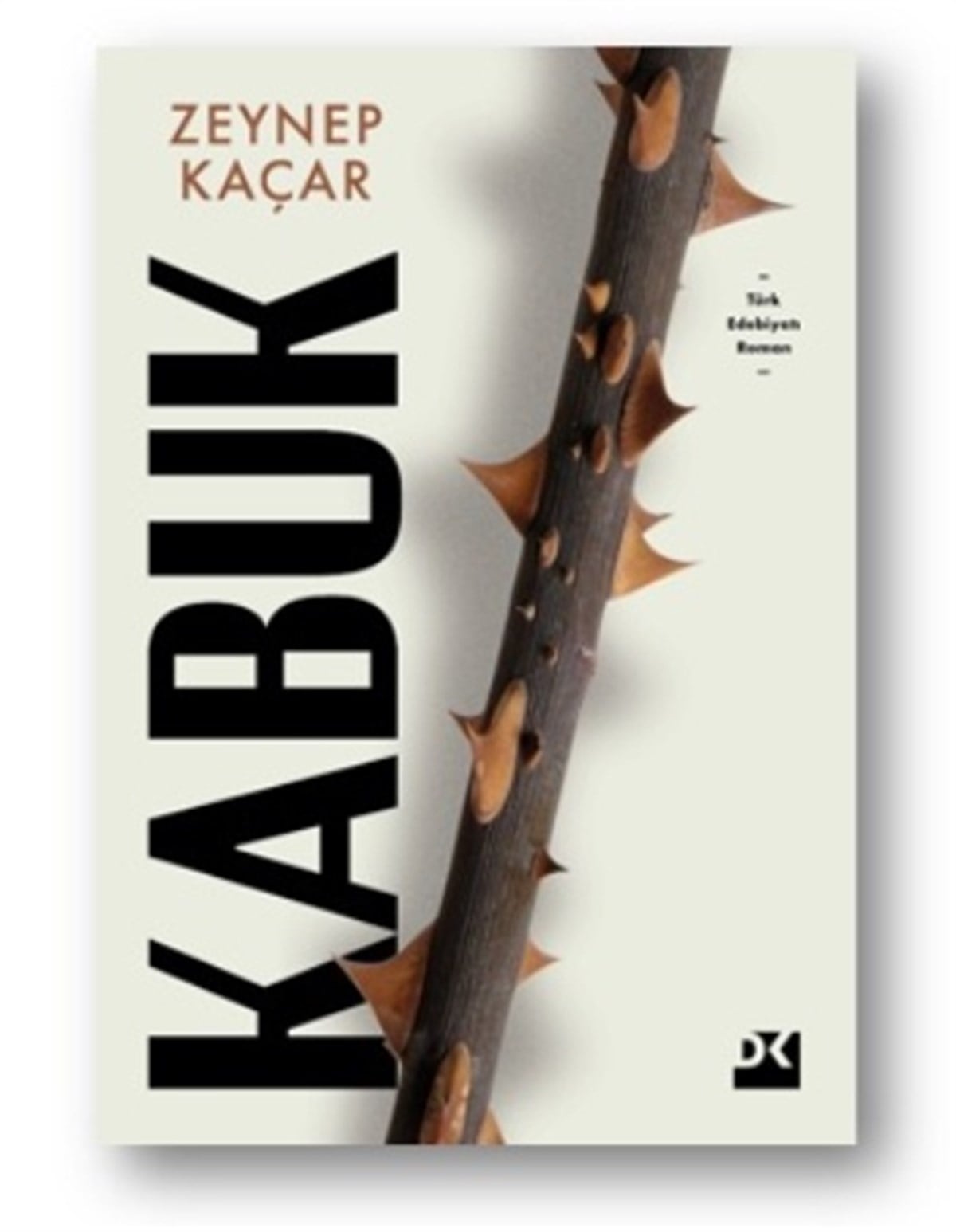 Kabuk