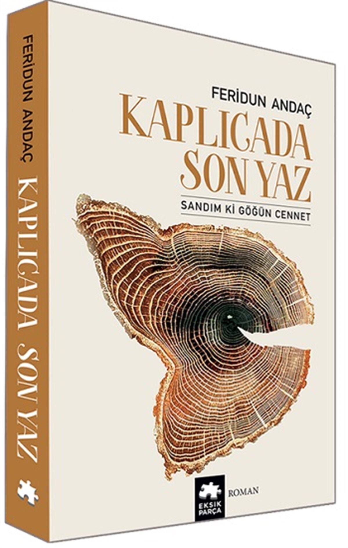 Kaplıcada Son Yaz