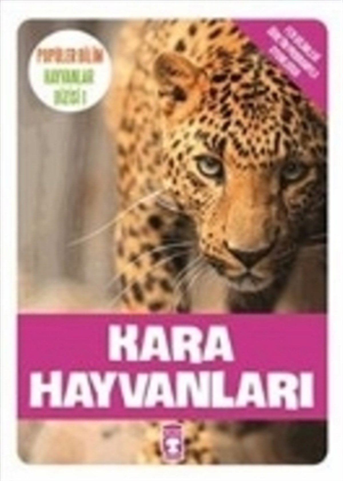 Kara Hayvanları