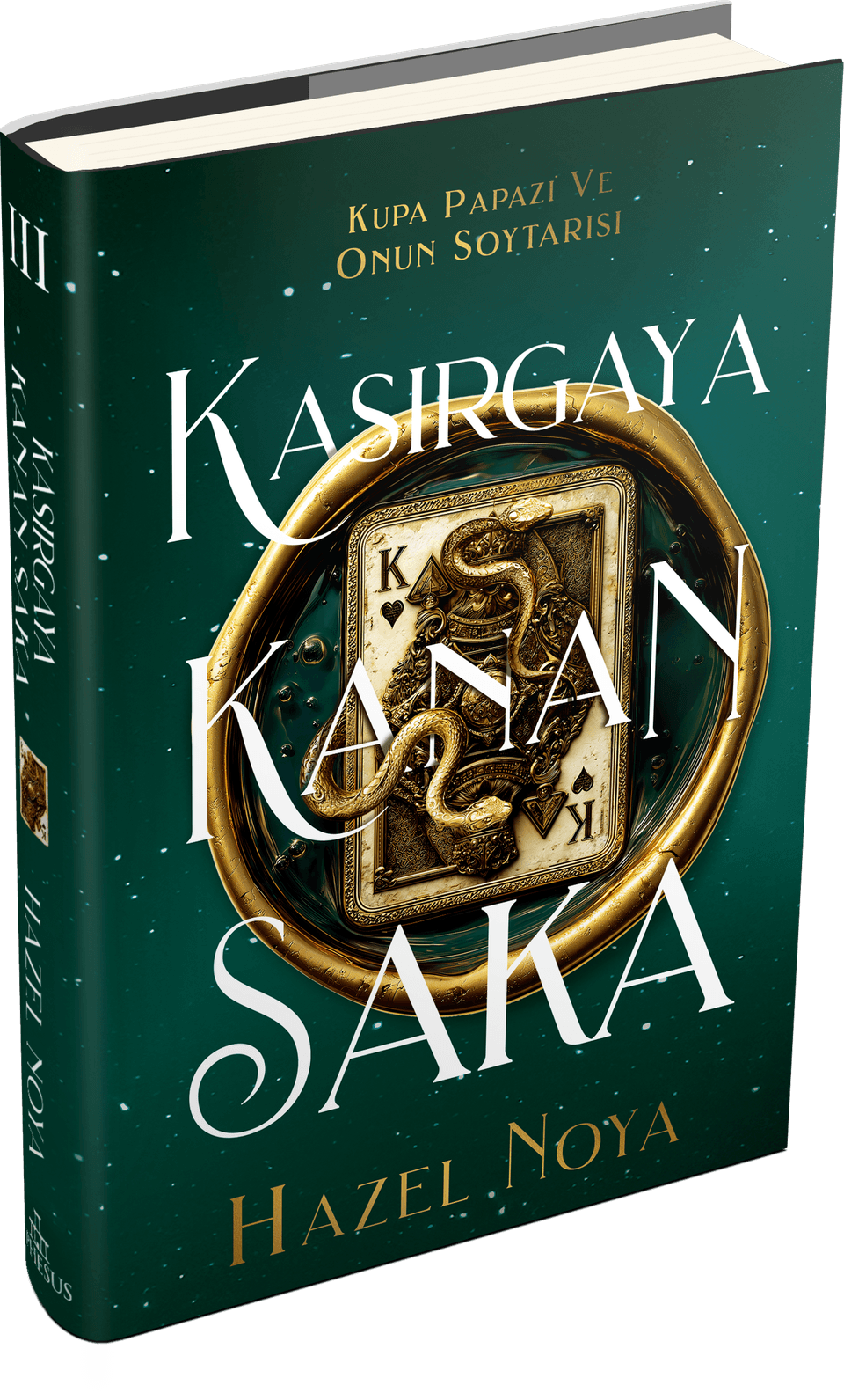 Kasırgaya Kanan Saka 3 - Ciltli