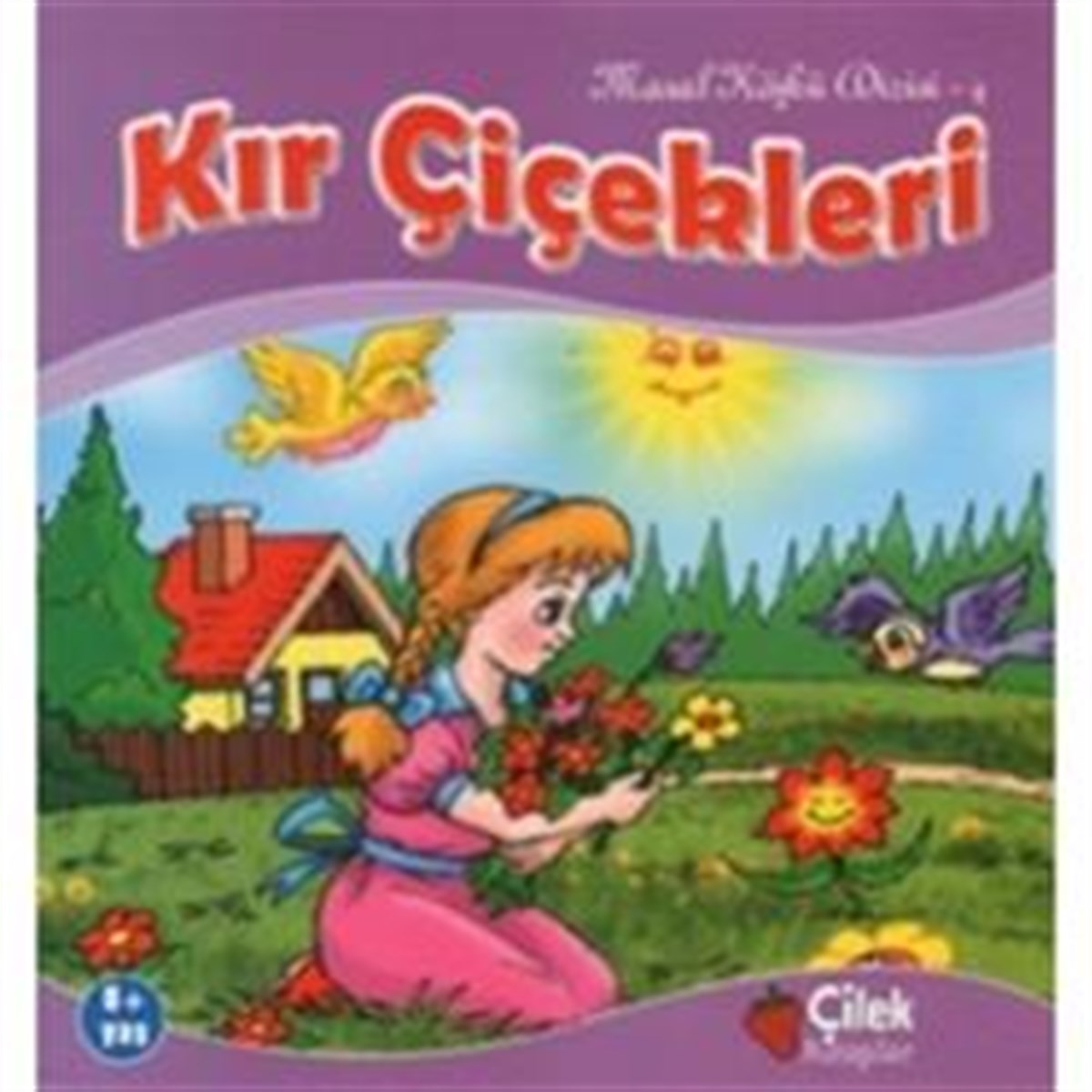 Kır Çiçekleri