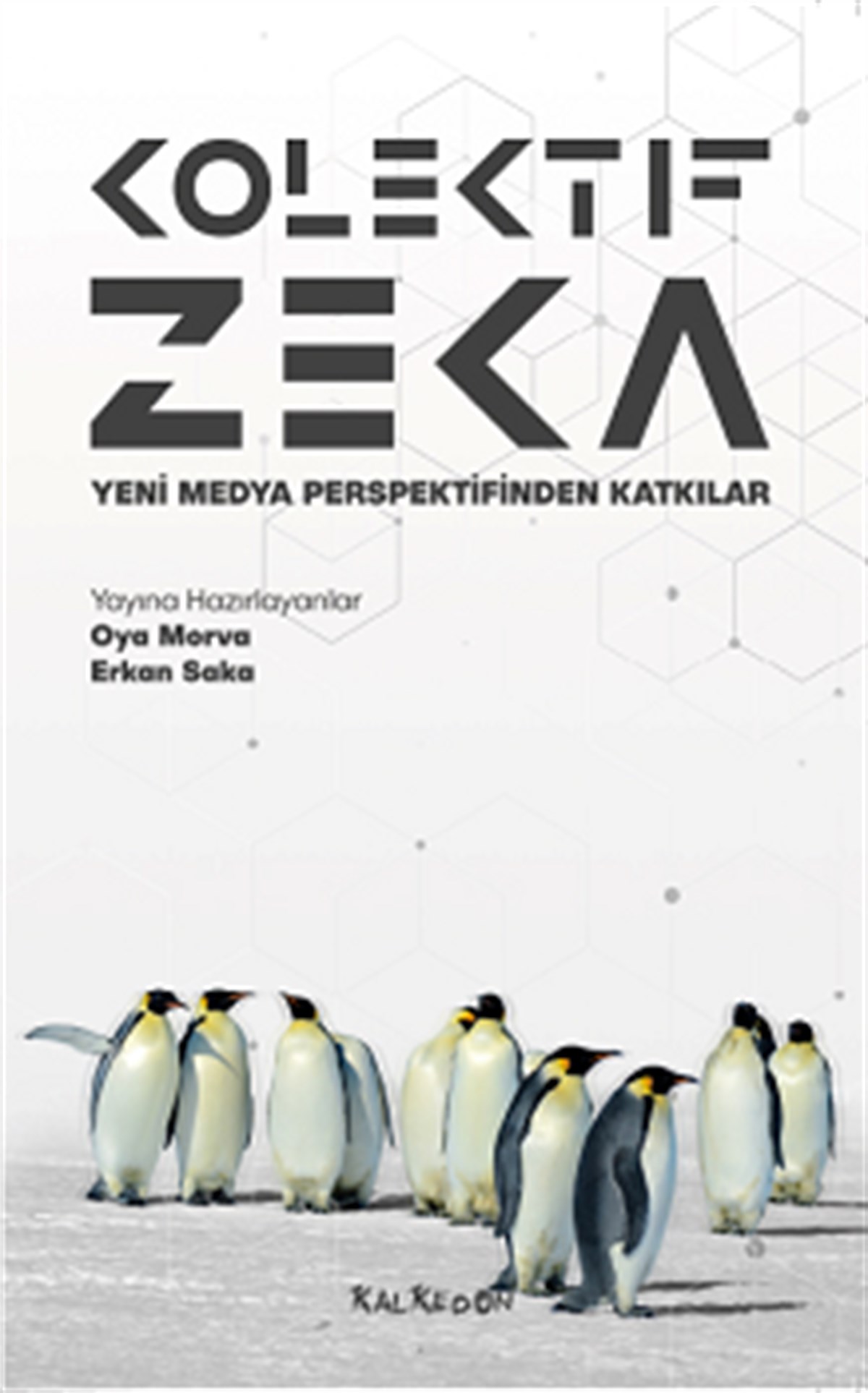 Kolektif Zeka – Yeni Medya Perspektifinden Katkılar