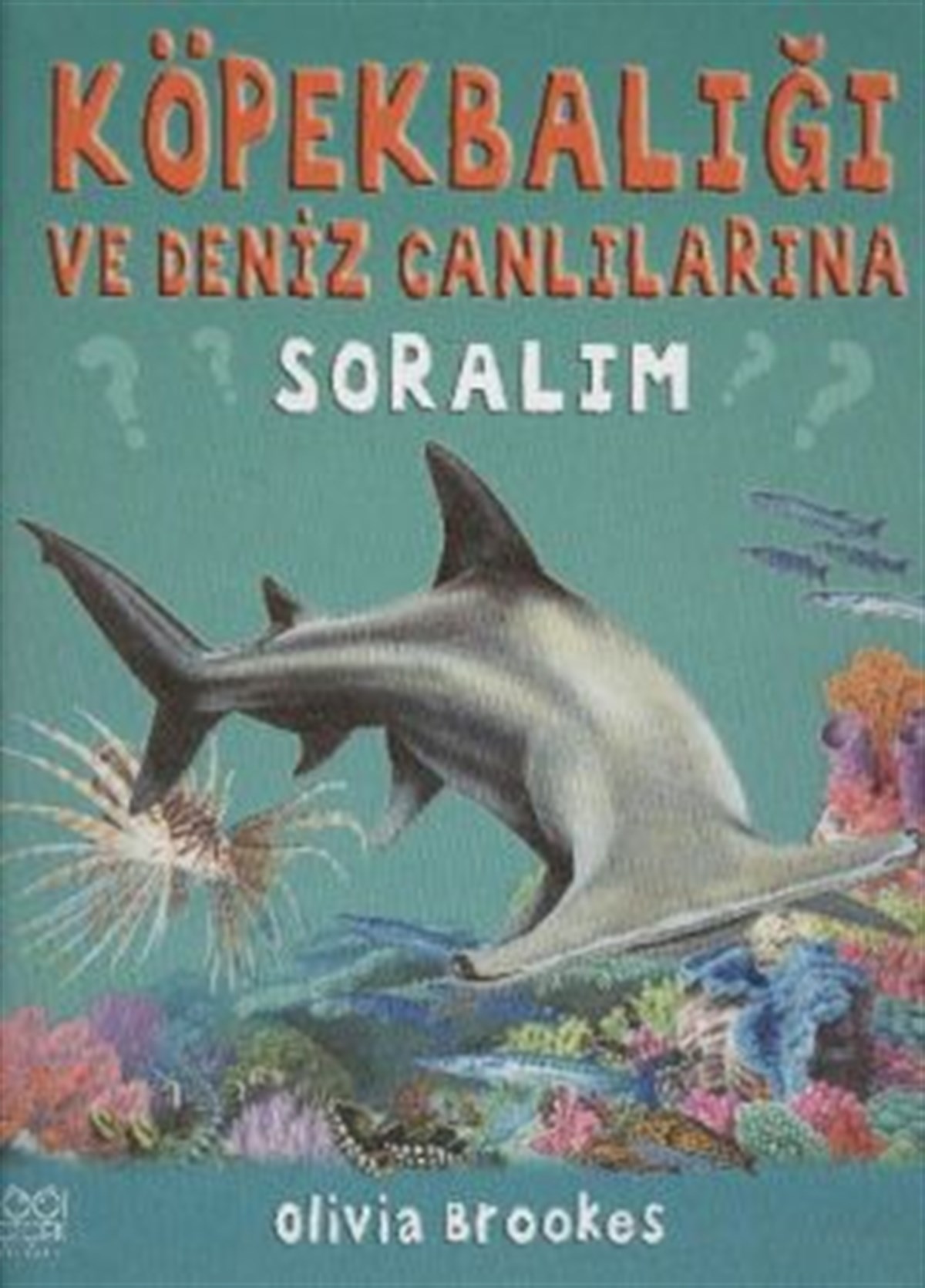 Köpek Balığı ve Deniz Canlılarına Soralım