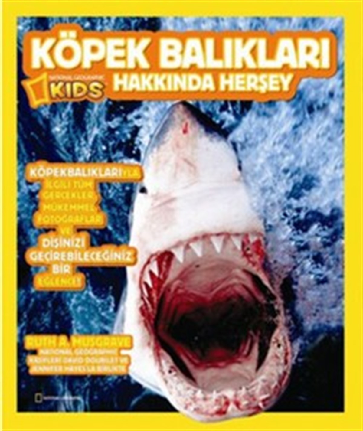 Köpek Balıkları Hakkında Herşey