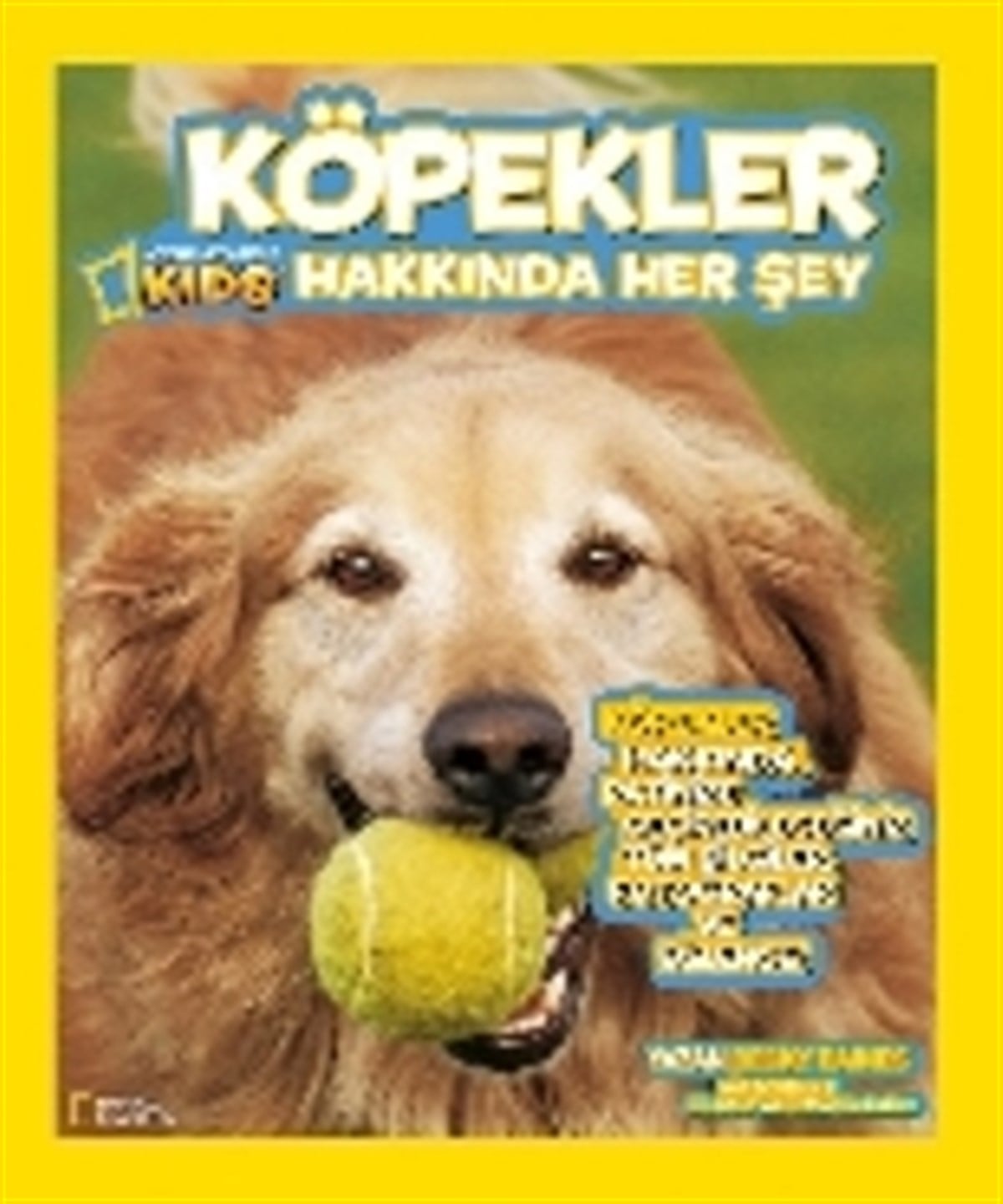 Köpekler Hakkında Her Şey
