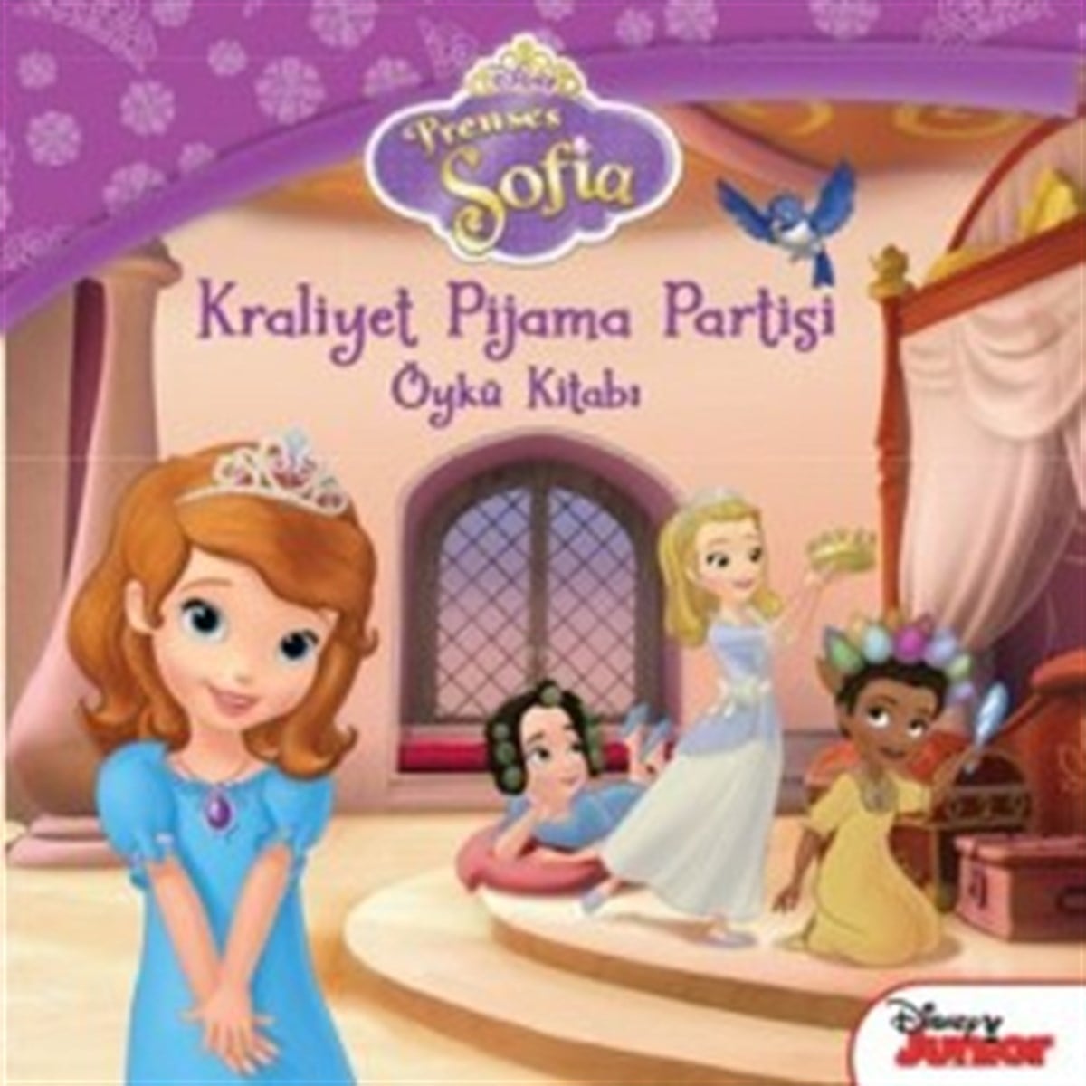 Kraliyet Pijama Partisi - Öykü Kitabı