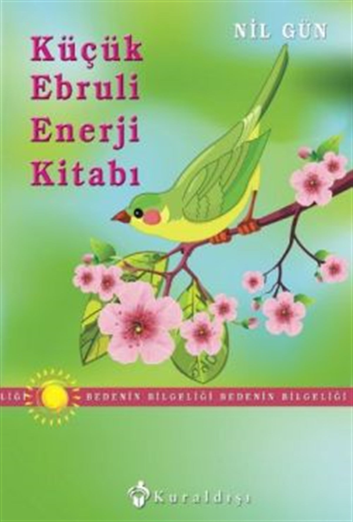 Küçük Ebruli Enerji Kitabı