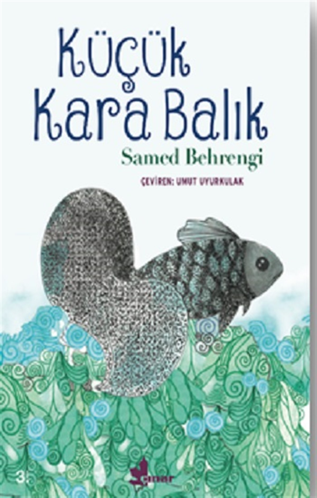 Küçük Kara Balık