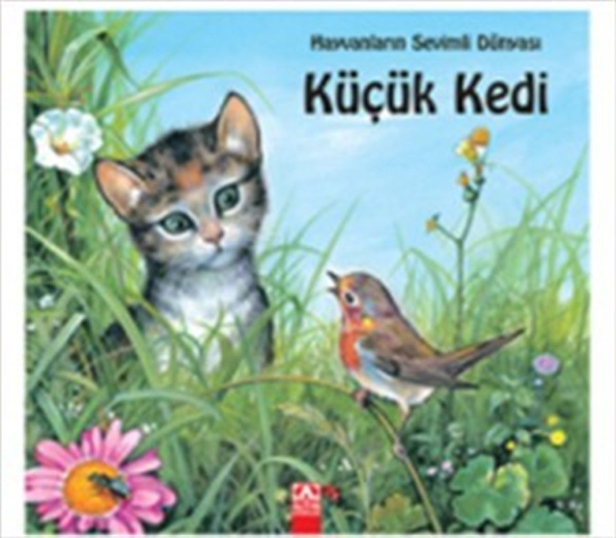 Küçük Kedi