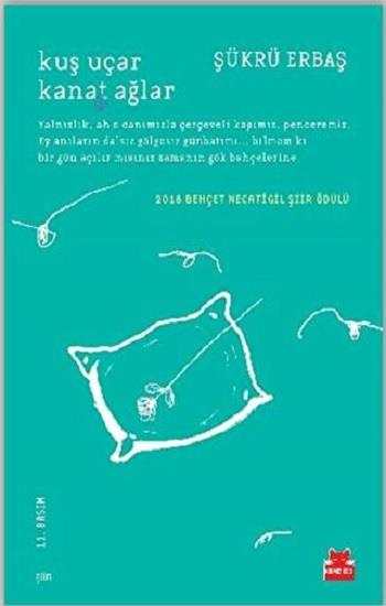 Kuş Uçar Kanat Ağlar