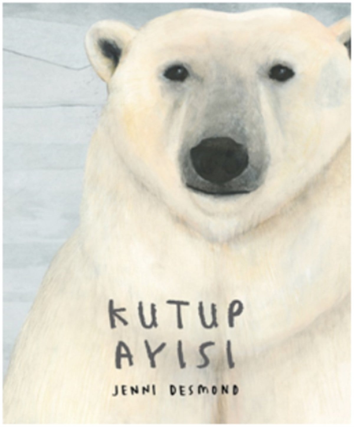 Kutup Ayısı