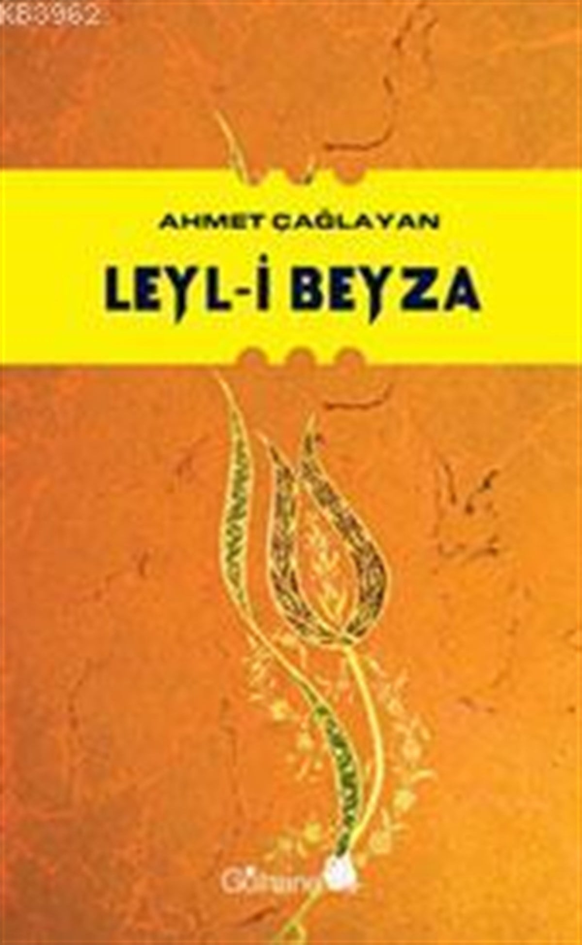 Leyl-i Beyza