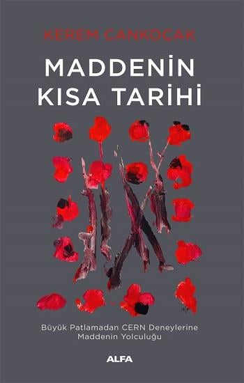 Maddenin  Kısa Tarihi