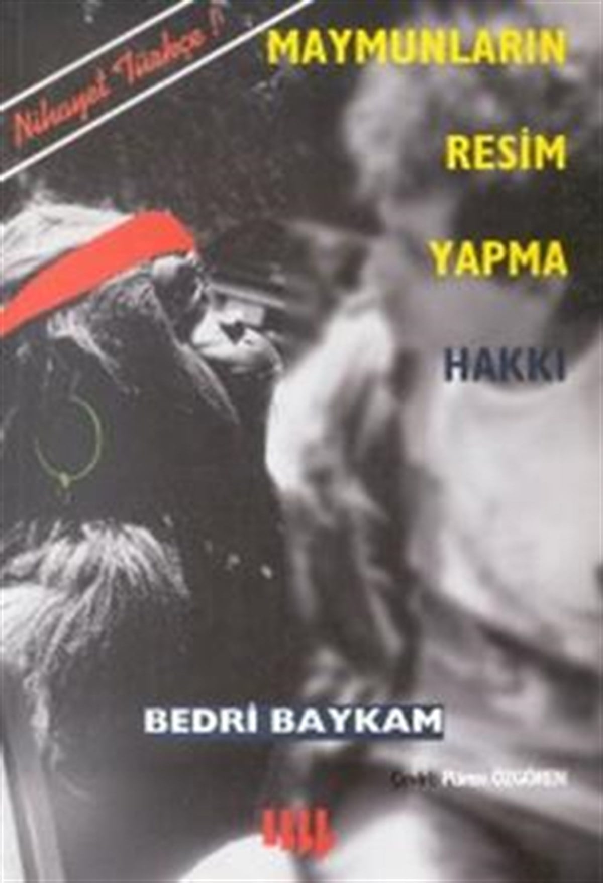 Maymunların Resim Yapma Hakkı