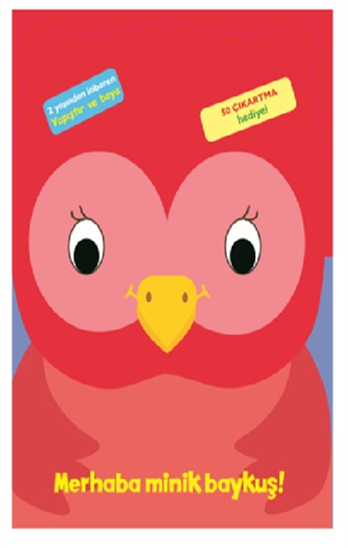 Merhaba Minik Baykuş!