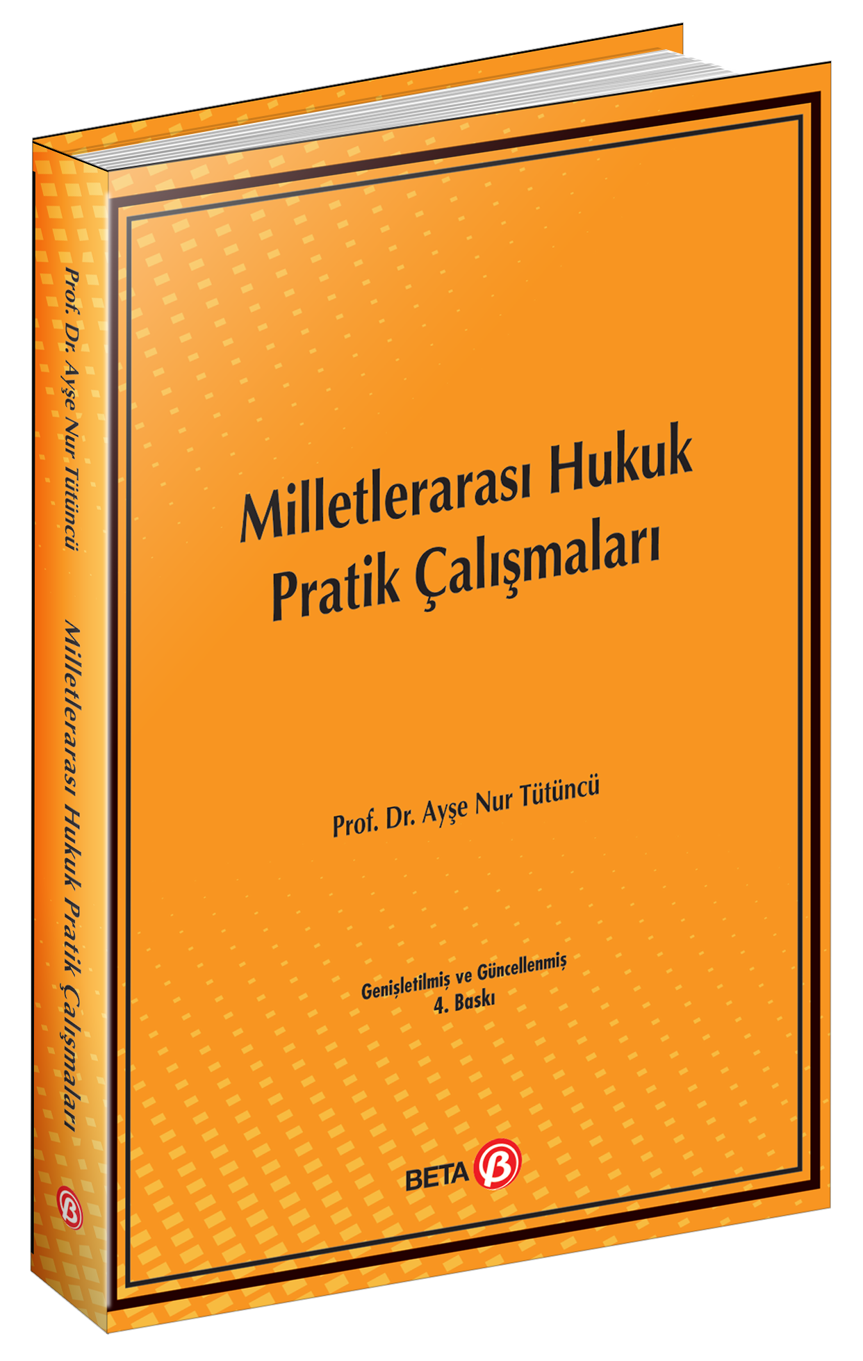 Milletlerarası Hukuk Pratik Çalışmaları