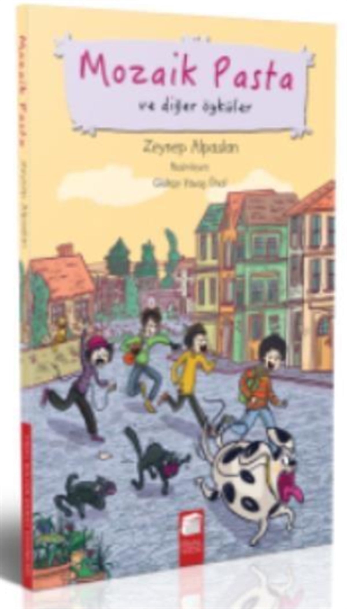 Mozaik Pasta ve Diğer Öyküler
