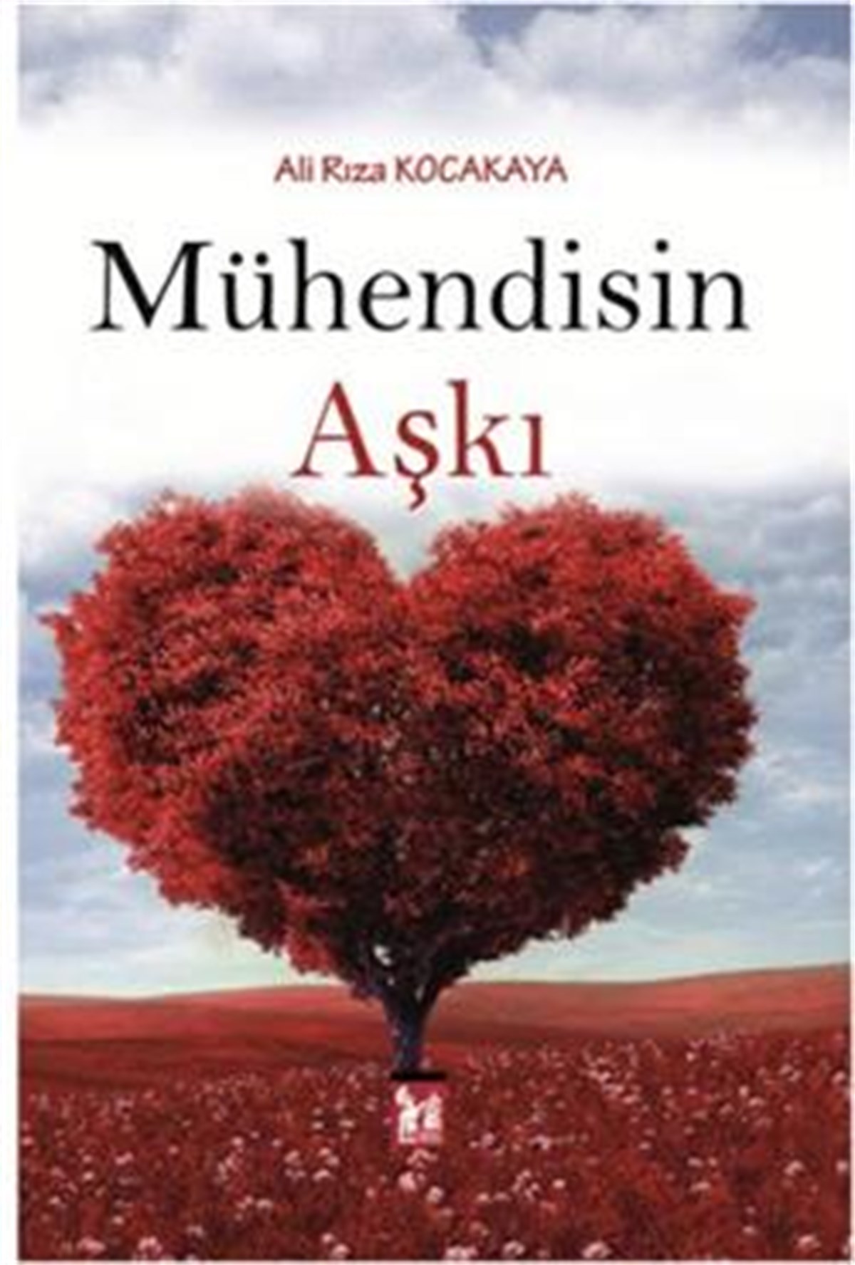 Mühendisin Aşkı