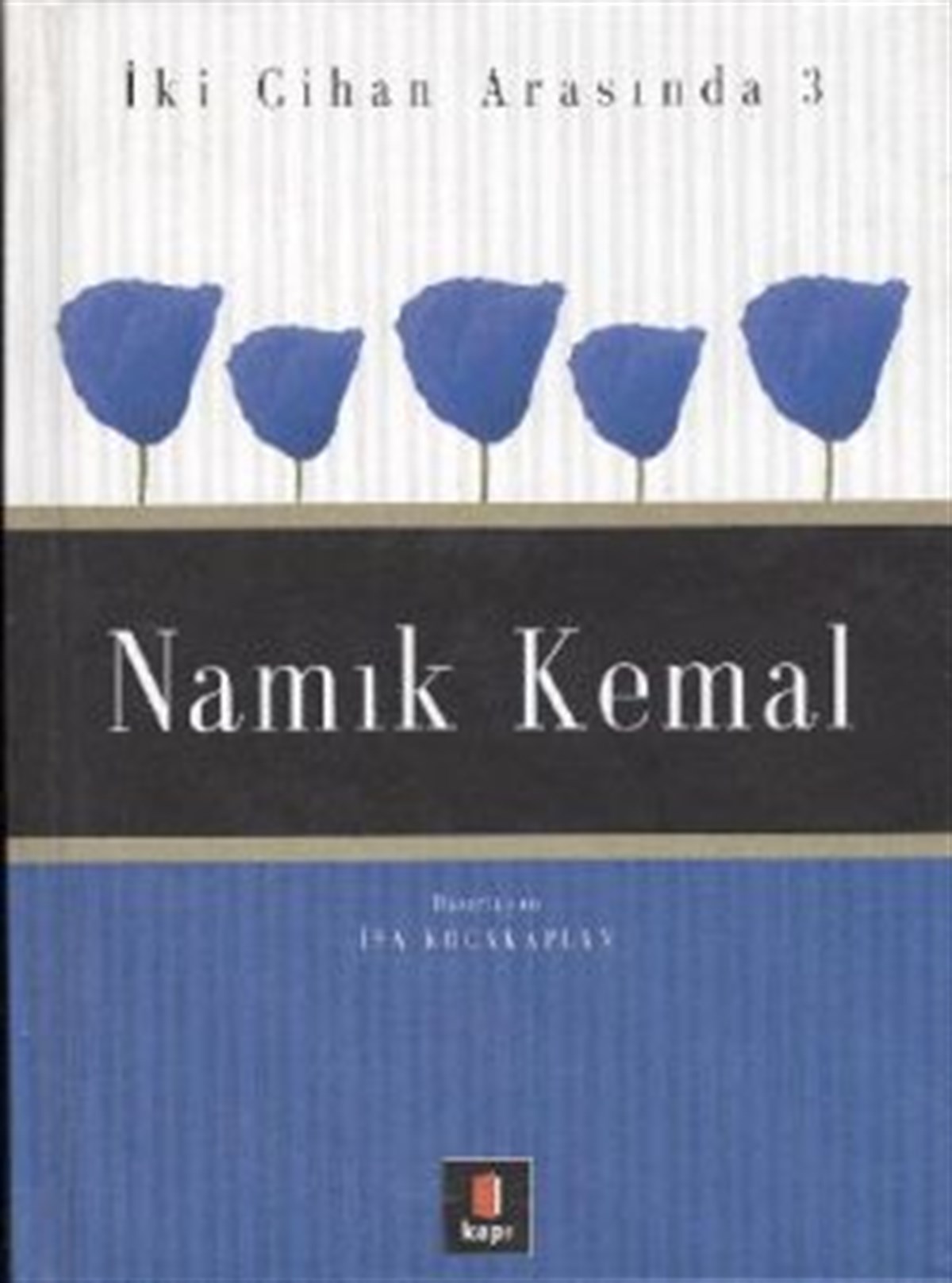 Namık Kemal  İki Cihan Arasında 3