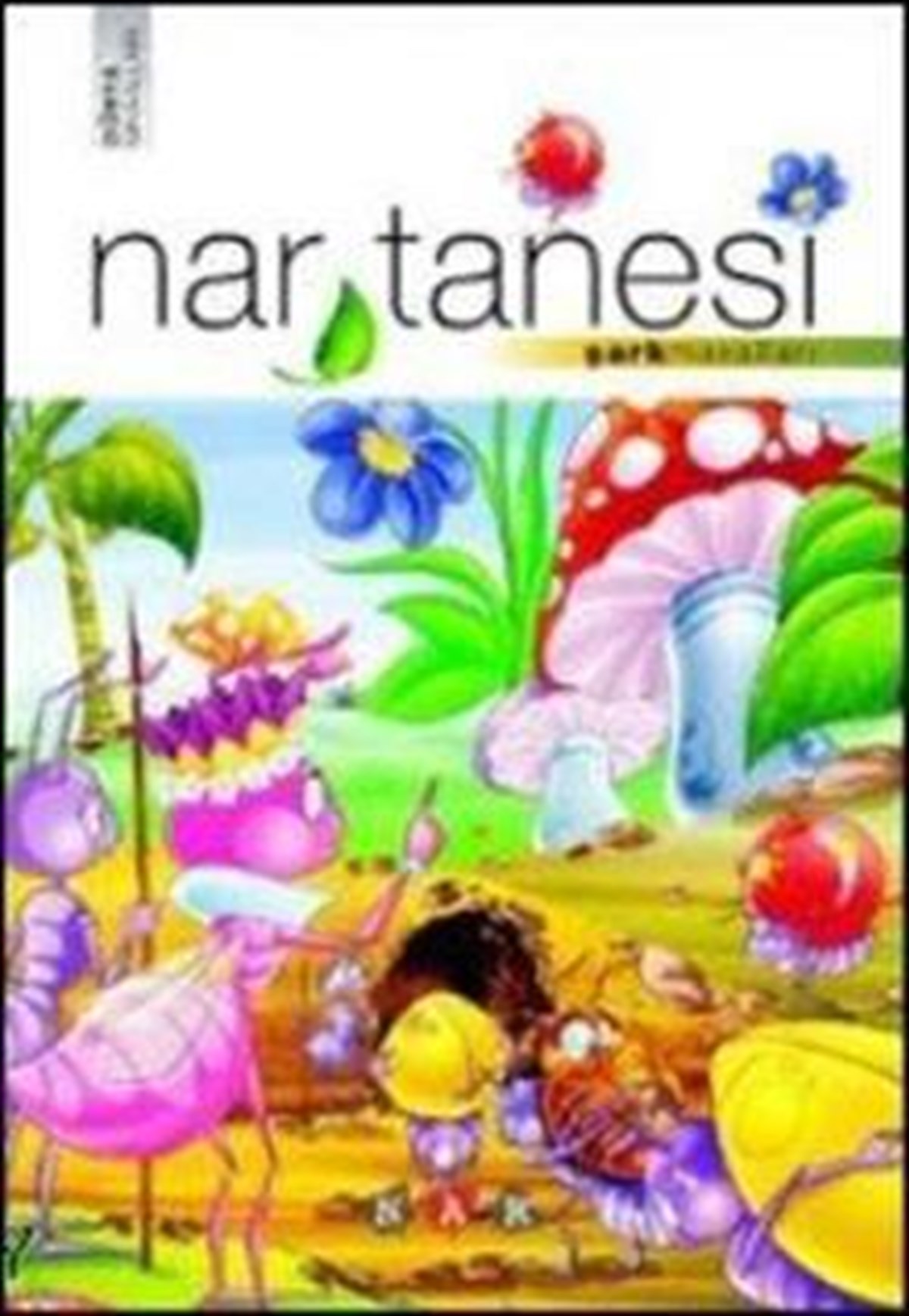 Nar Tanesi