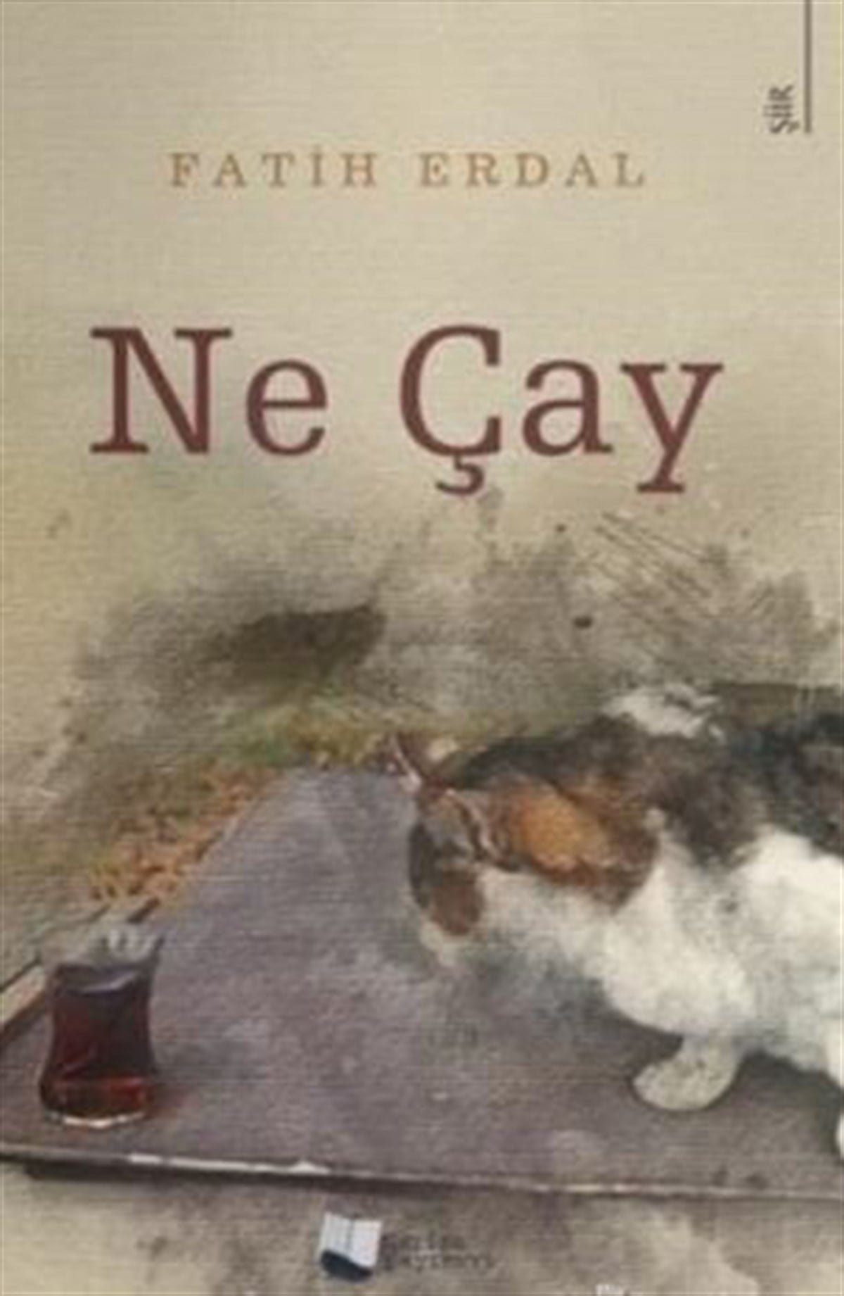 Ne Çay , Fatih Erdal , Karina Yayınevi , 9786257306720 ,