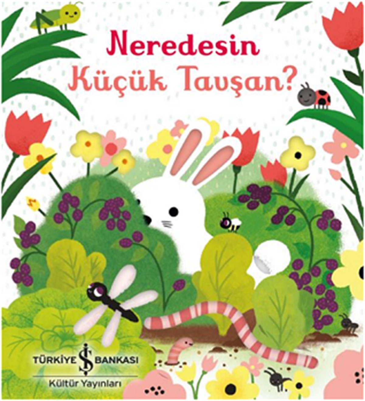 Neredesin Küçük Tavşan