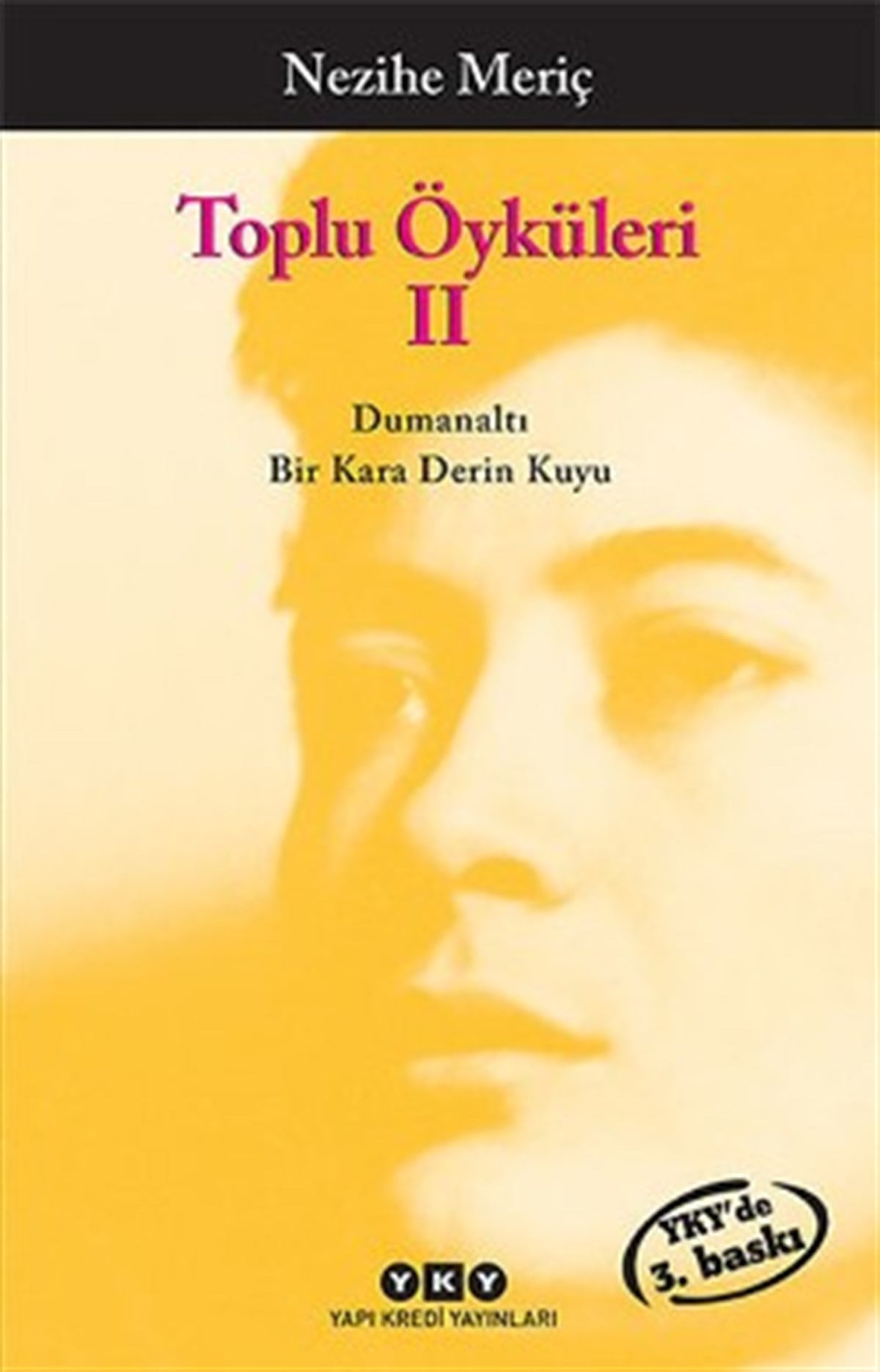 Nezihe Meriç Toplu Öyküler 2 - Bütün Yapıtlarına Doğru