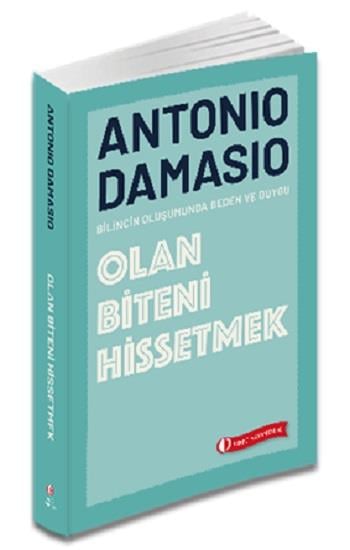 Olan Biteni Hissetmek