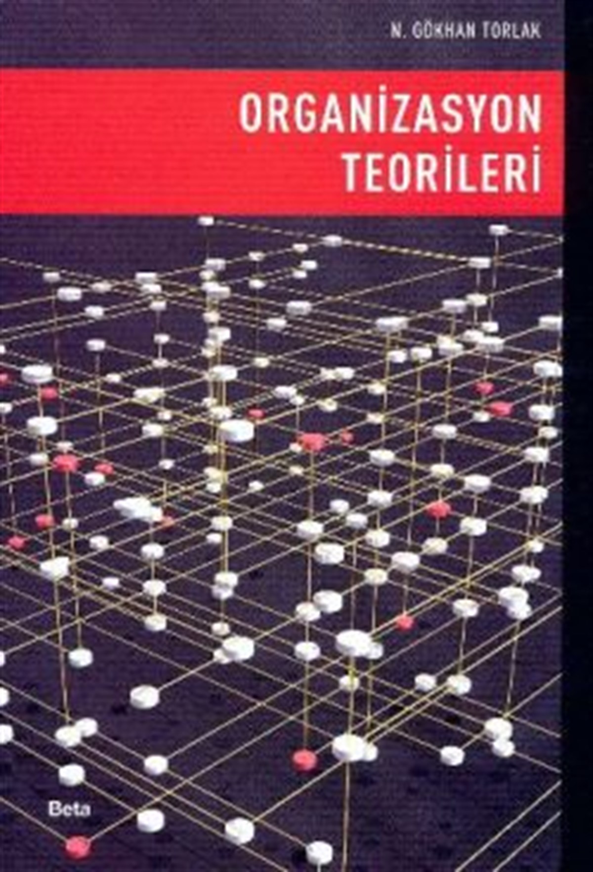 Organizasyon Teorileri