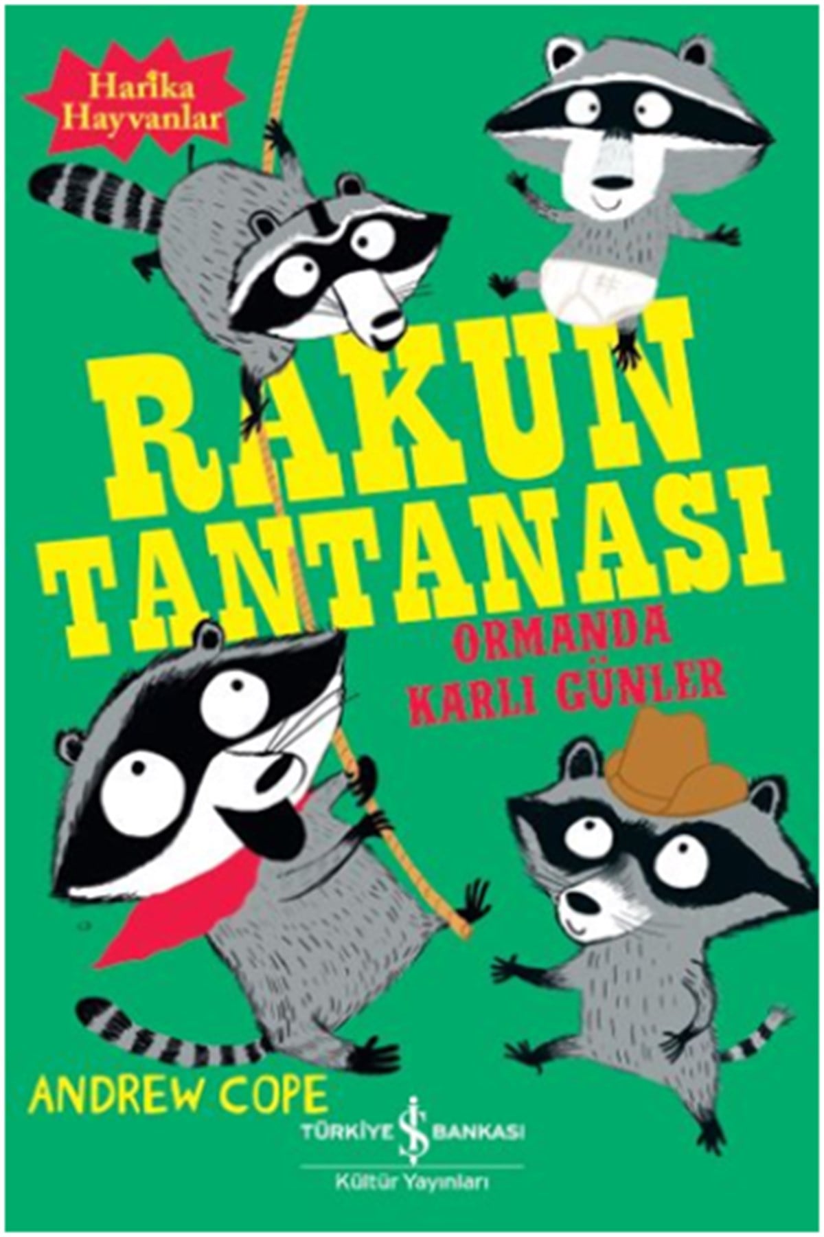 Ormanda Karlı Günler - Rakun Tantanası