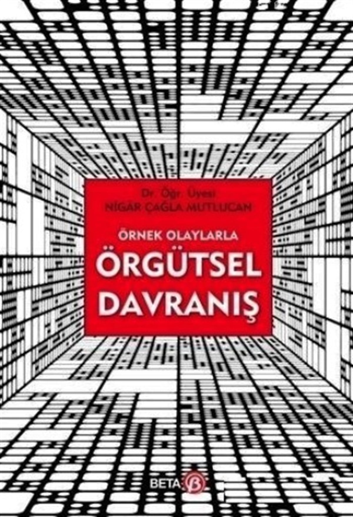 Örnek Olaylarla Örgütsel Davranış