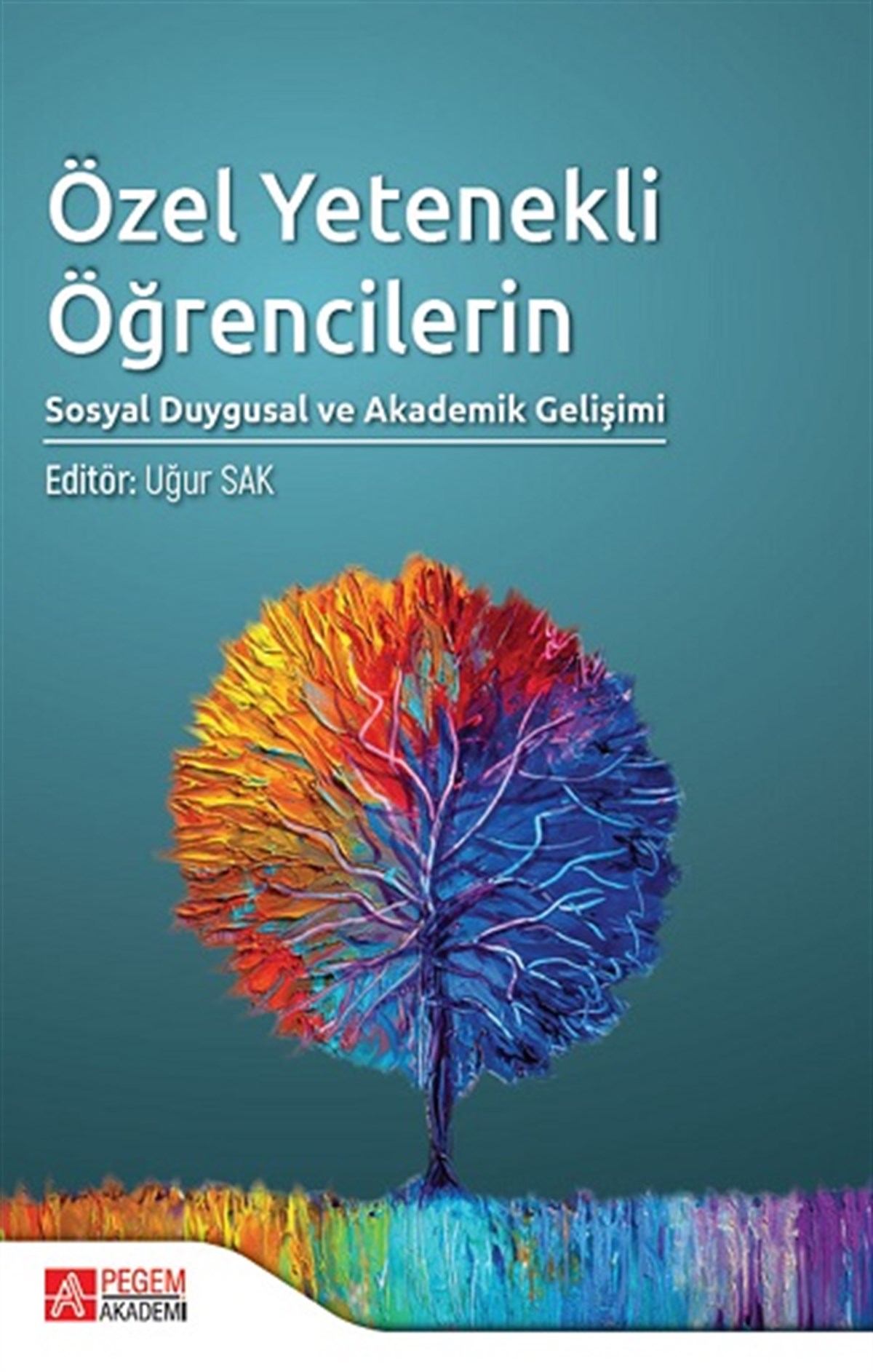 Özel Yetenekli Öğrencilerin Sosyal Duygusal ve Akademik Gelişimi
