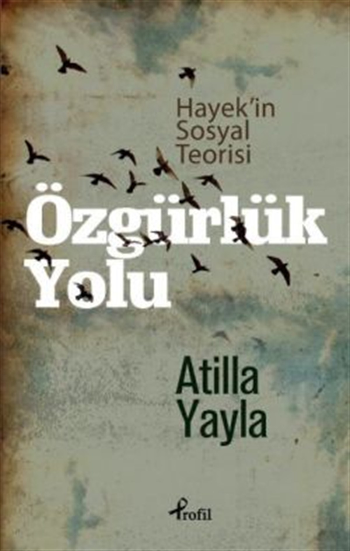 Özgürlük Yolu