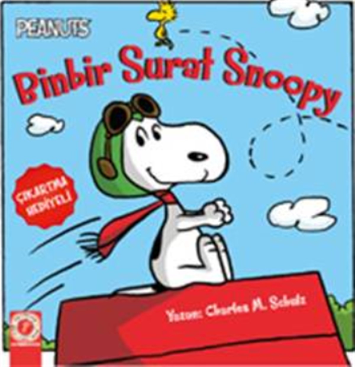 Peanuts Binbir Surat Snoopy